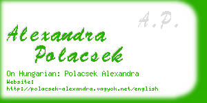 alexandra polacsek business card